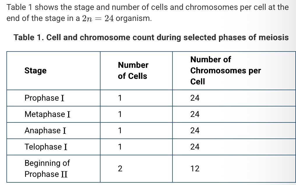<p><span><span>Which of the following statements correctly describes the chromosomes in each daughter cell at the end of meiosis&nbsp;?</span></span></p>
