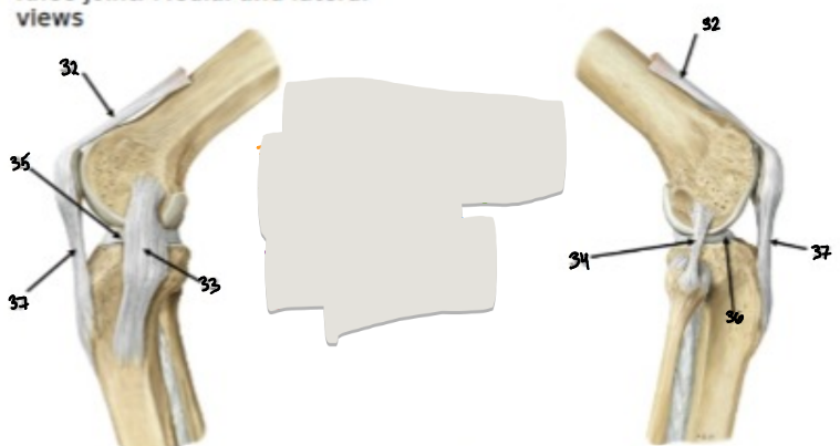 <p>34</p>