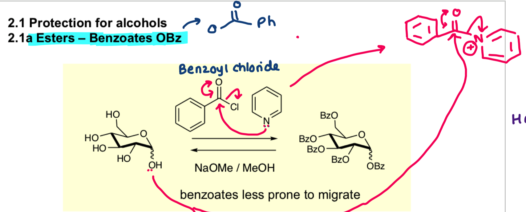 <ul><li><p>ester </p></li></ul><p></p>