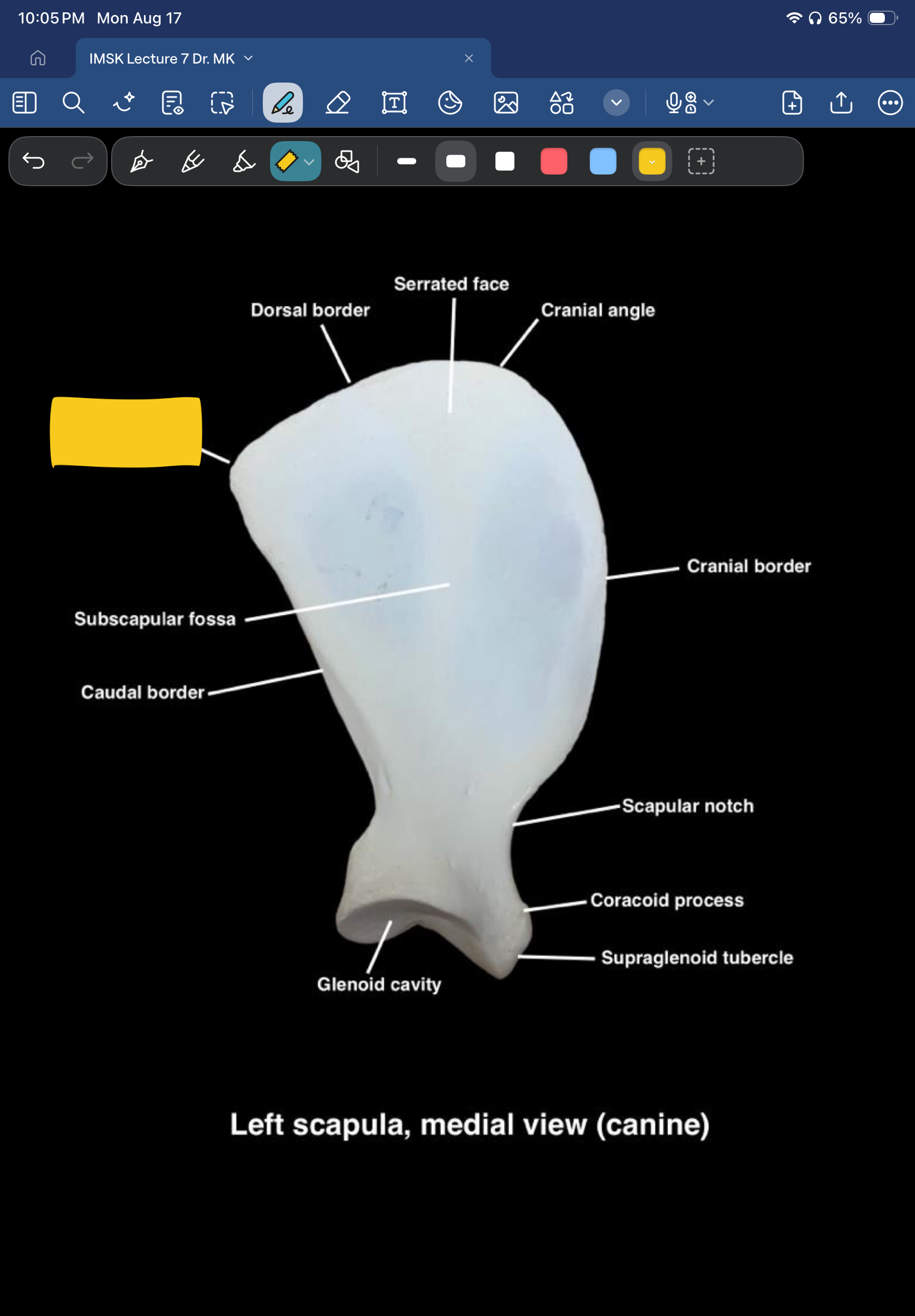term image