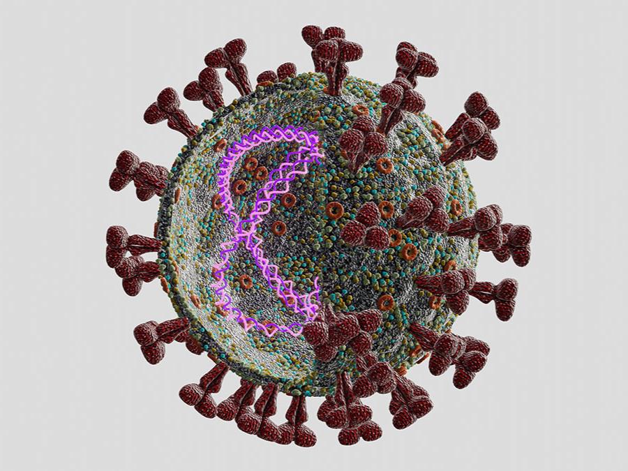 <p>pathogen</p>