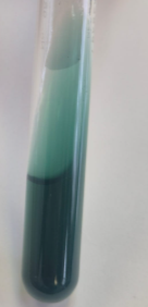 <p>que prueba es </p>