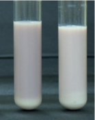 <p>what test is this</p><p>explain the results of each and why</p>