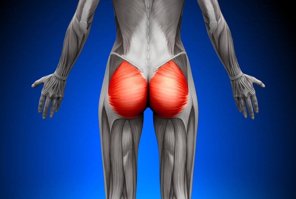 <p>is the largest muscle of the buttock</p>