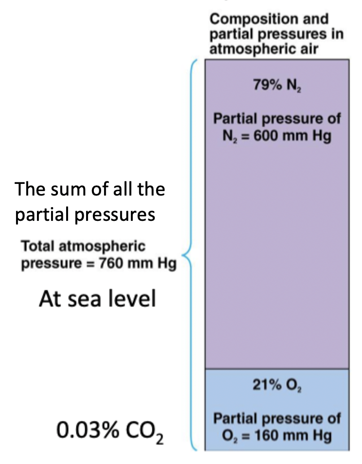 <p>79% N2, 21% O2, 0.03% CO2</p><p>Makes up 760 mmHg atm</p>