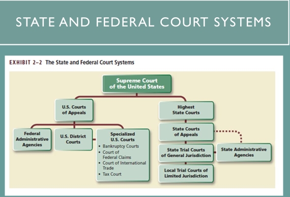 <p>Supreme Court of the US → US courts of appeals or highest state courts</p>