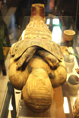 <p>body that has been embalmed and wrapped in linen</p>