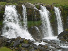 <p>(n) /sɔːs/ Nguồn tin</p>