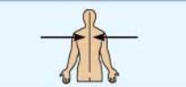 <p>- towards middle/midline of body</p>