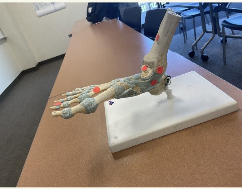 <p>what structures are 2, 6 and 13</p>