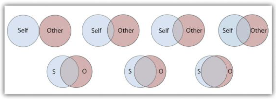 <p>Show participants the image and ask them which diagram best depicts them and their partner</p>