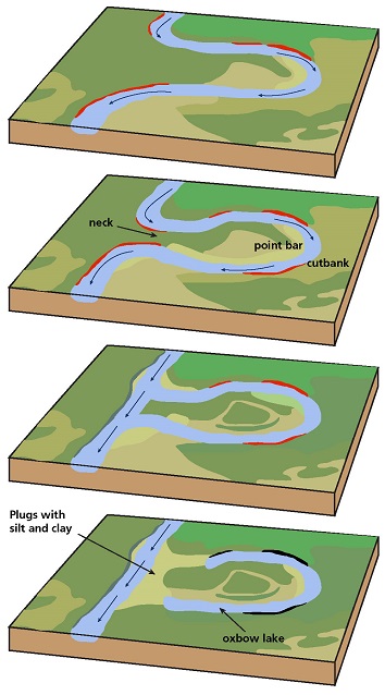 <p>a single, sinuous channel that winds across4,5,6 flat terrain, characterized by high-velocity water eroding the outer banks (cut banks) and slow-velocity water depositing sediment on inner banks (point bars)</p>