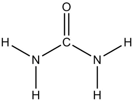 <p>CO(NH₂)₂: A <span>substance isolated from urine</span></p>
