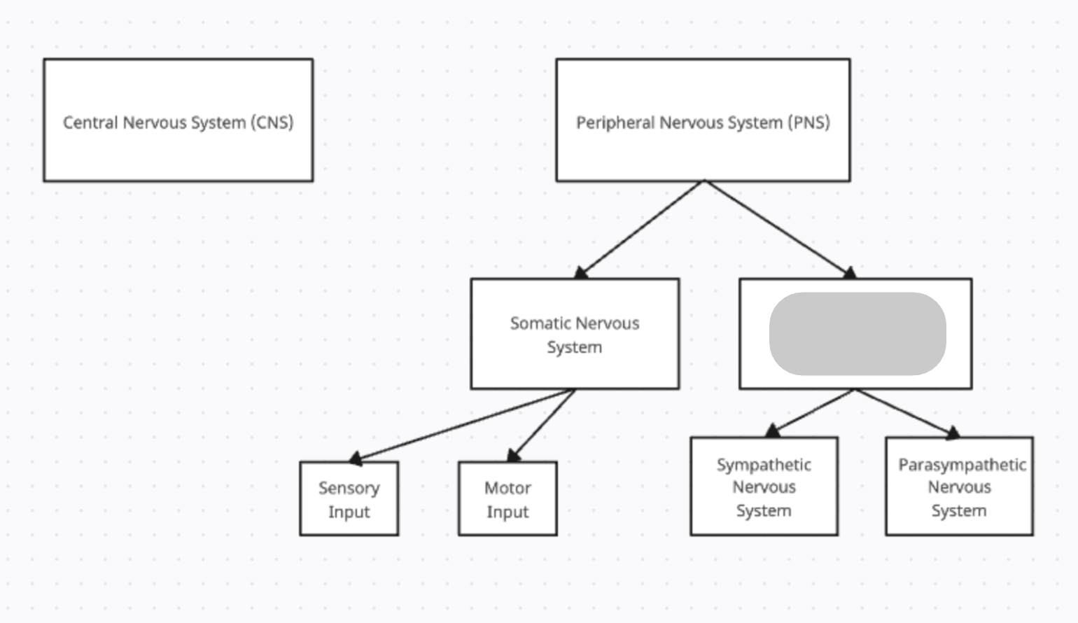 <p>Controls involuntary actions like heartbeat, digestion, and breathing—basically all the stuff you don’t think about but can’t live without.</p>