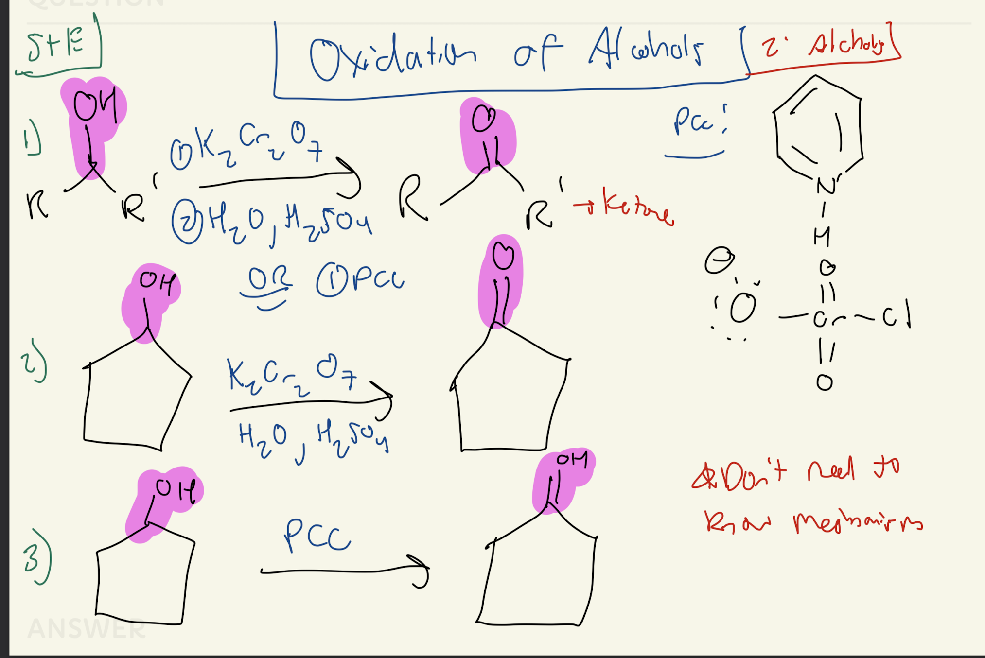 knowt flashcard image