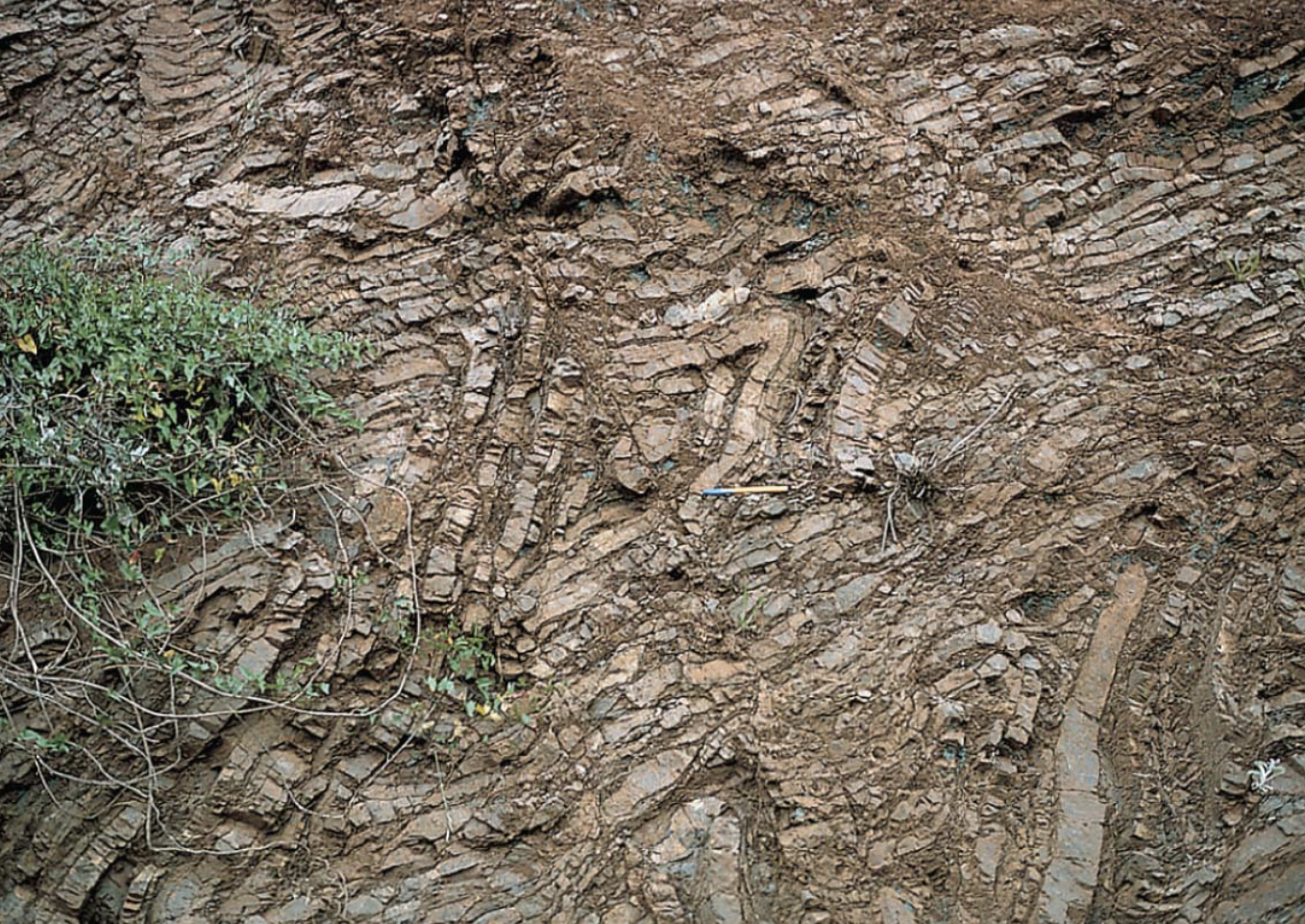<p>formed from the shells of silica-secreting (SiO<sub>2</sub>) plankton that accumulated on the seafloor and gradually after burial, the shells dissolved, forming a silica-rich gel which then formed into Chert when the gel solidified</p><ul><li><p>made from cryptocrystalline → consisting of quartz grains that are too small to be seen without extreme magnification of an electron microscope</p></li></ul><p></p>