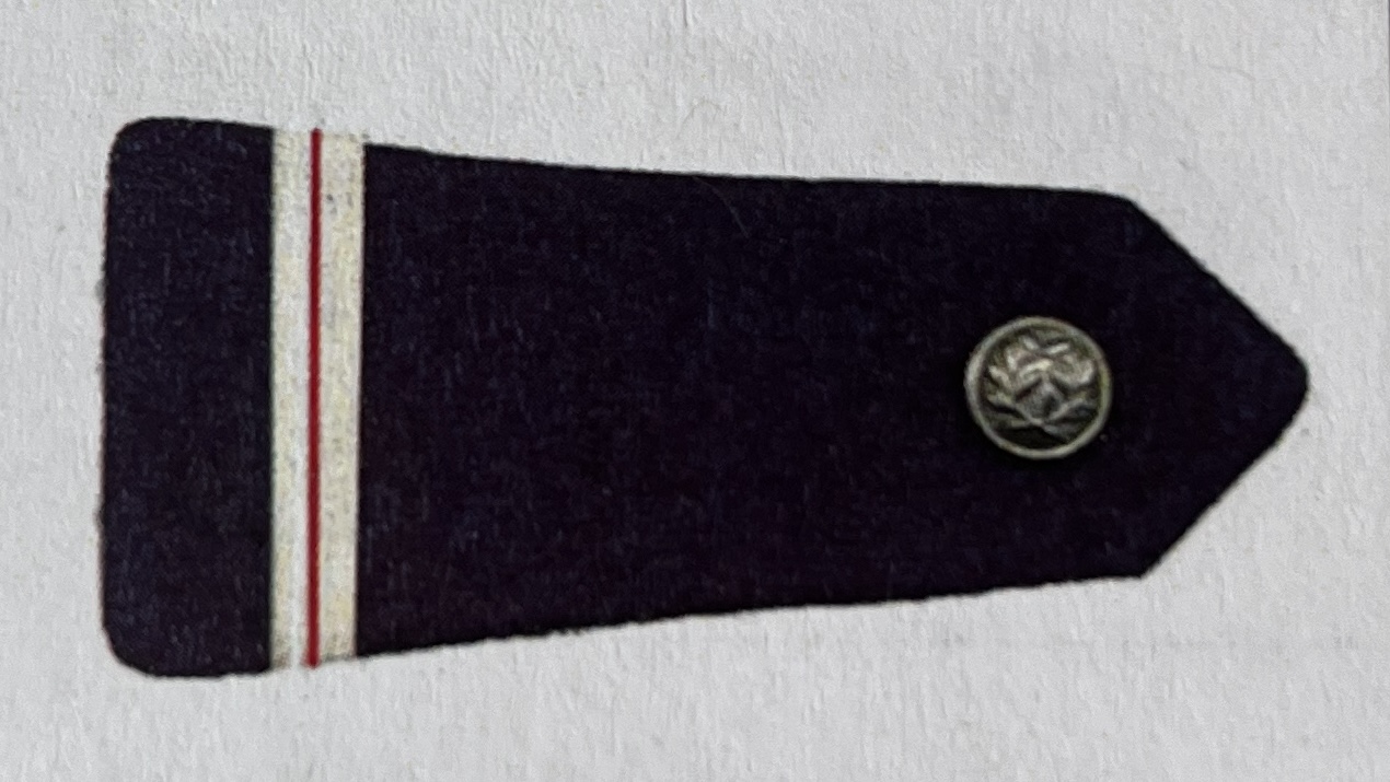 <p> </p>
