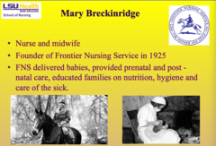 <p>- Founded by Mary Breckinridge</p><p>- The FNS delivered babies</p><p>- provided pre/post natal care</p><p>- educated families on nutrition</p><p>- hygiene education</p>