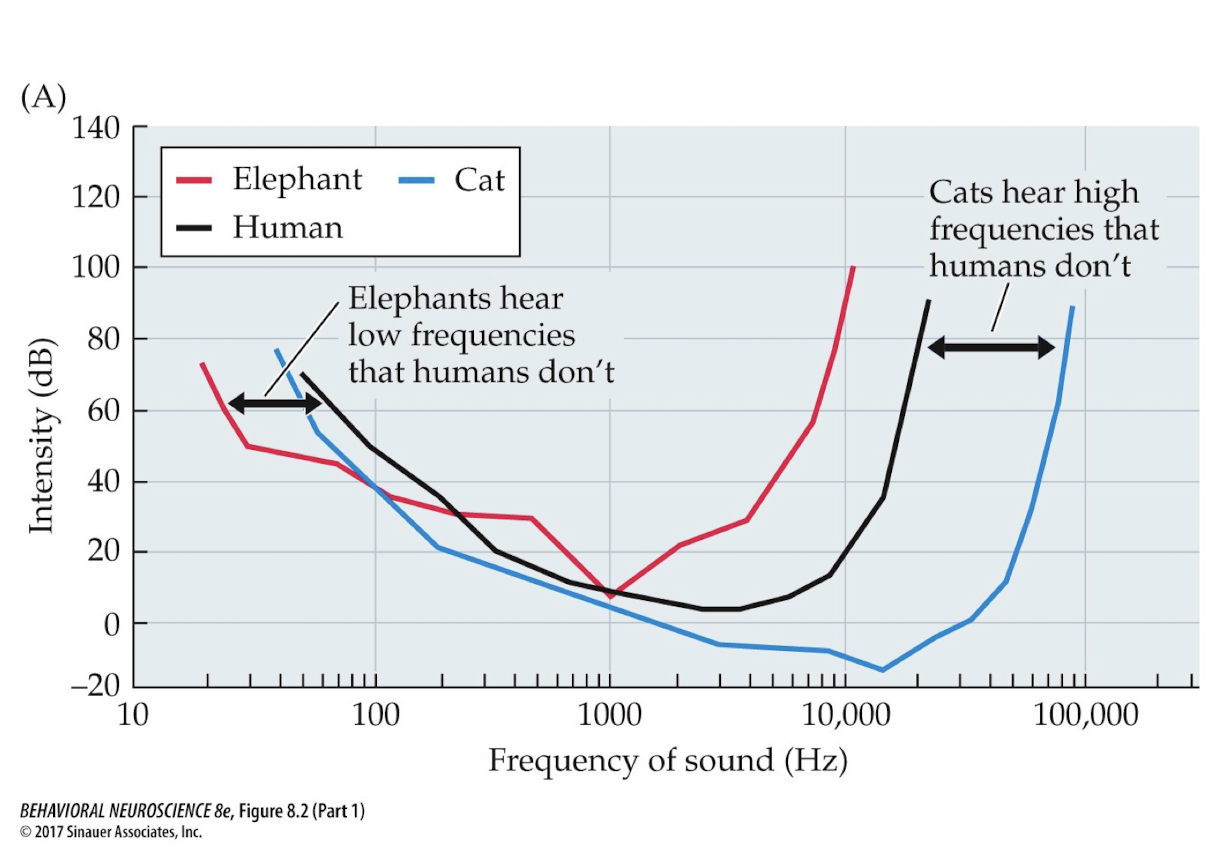 <p>What can you see in this pictures?</p>