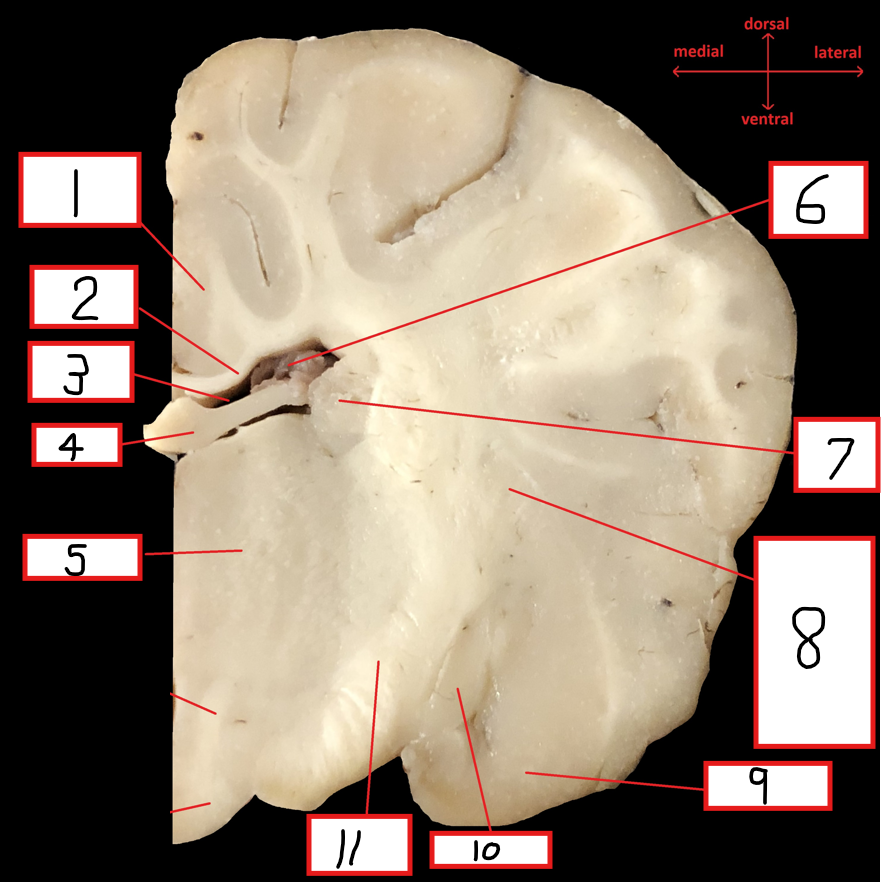 <p>10</p>