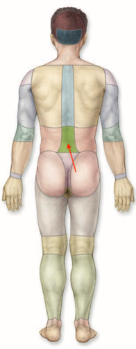 <p>what is this section called?</p>