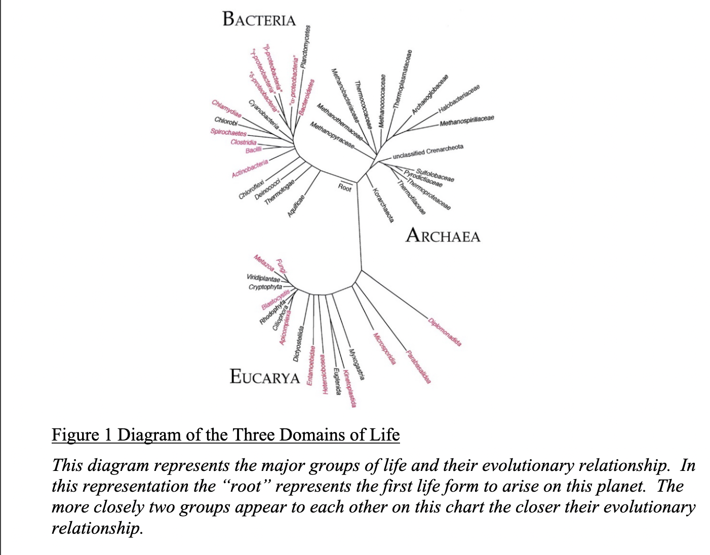 <p>What are the three domains?</p>