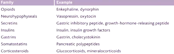 <ul><li><p>made on the neuron’s cell body </p></li><li><p>responsible for the synthesis of proteins in cells on ribosomes</p></li><li><p>packaged in the membrane into vesicles > transported to the axon terminal </p></li><li><p>slow production and not easily replaced </p></li></ul><p></p>