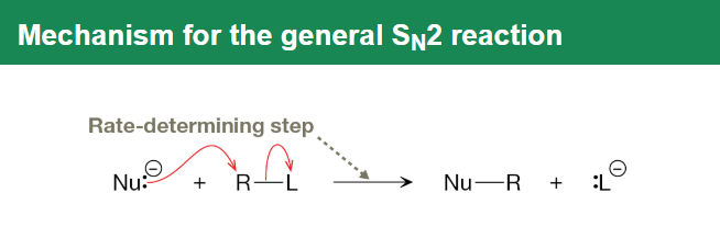 <p>Strong nucleophiles in polar aprotic solvents attack unhindered primary or methyl alkyl halides in a one-step backside substitution causing inversion of stereochemistry without changing the carbon skeleton.</p>