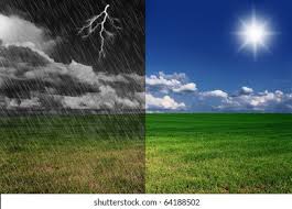 <p><strong>Erratic </strong></p>