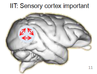 <p>Integrated information Theory</p>