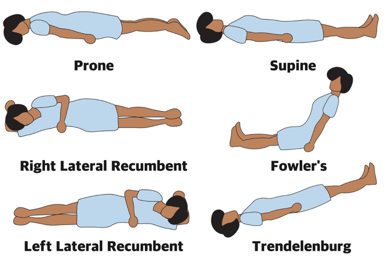 <p>Positional terms:</p>