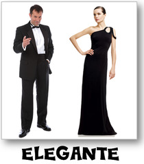 <p>elegant, fancy, dressy</p>