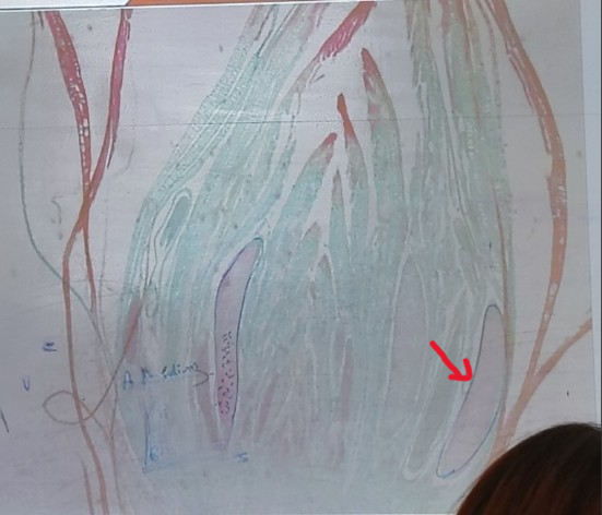 <ol><li><p>Name it</p></li></ol><p></p>