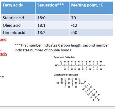 <p>Factors affecting Absorption of Fatty Acids</p>