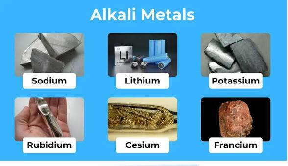 <ul><li><p>Soft, shiny, easily cut metals</p></li><li><p>Highly reactive — react strongly with water to form an alkaline (basic) solution and hydrogen gas</p></li><li><p>Reactivity increases going down the group (outer electron is easier to lose as it's further from the nucleus)</p></li></ul><p></p>