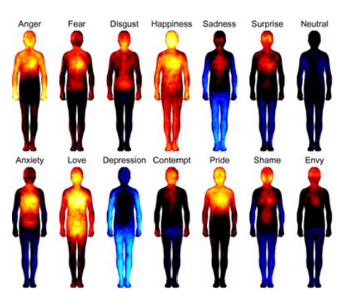 <p>proposes our subjective emotional experience is the consequence of a specific physiological arousal pattern</p><ul><li><p>A study examining where people felt certain emotions showed a great deal of consistency across cultures</p><ul><li><p>supports James-Lange Theory</p></li></ul></li></ul><p></p>