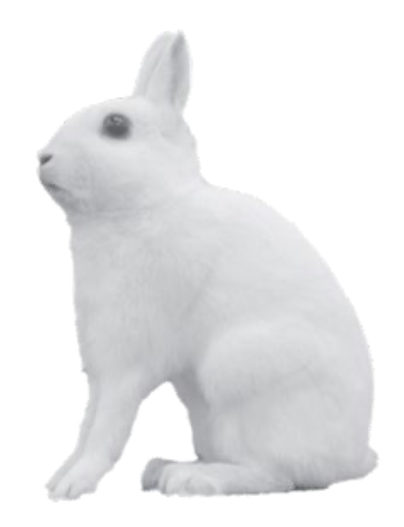 <p>Pose name</p>