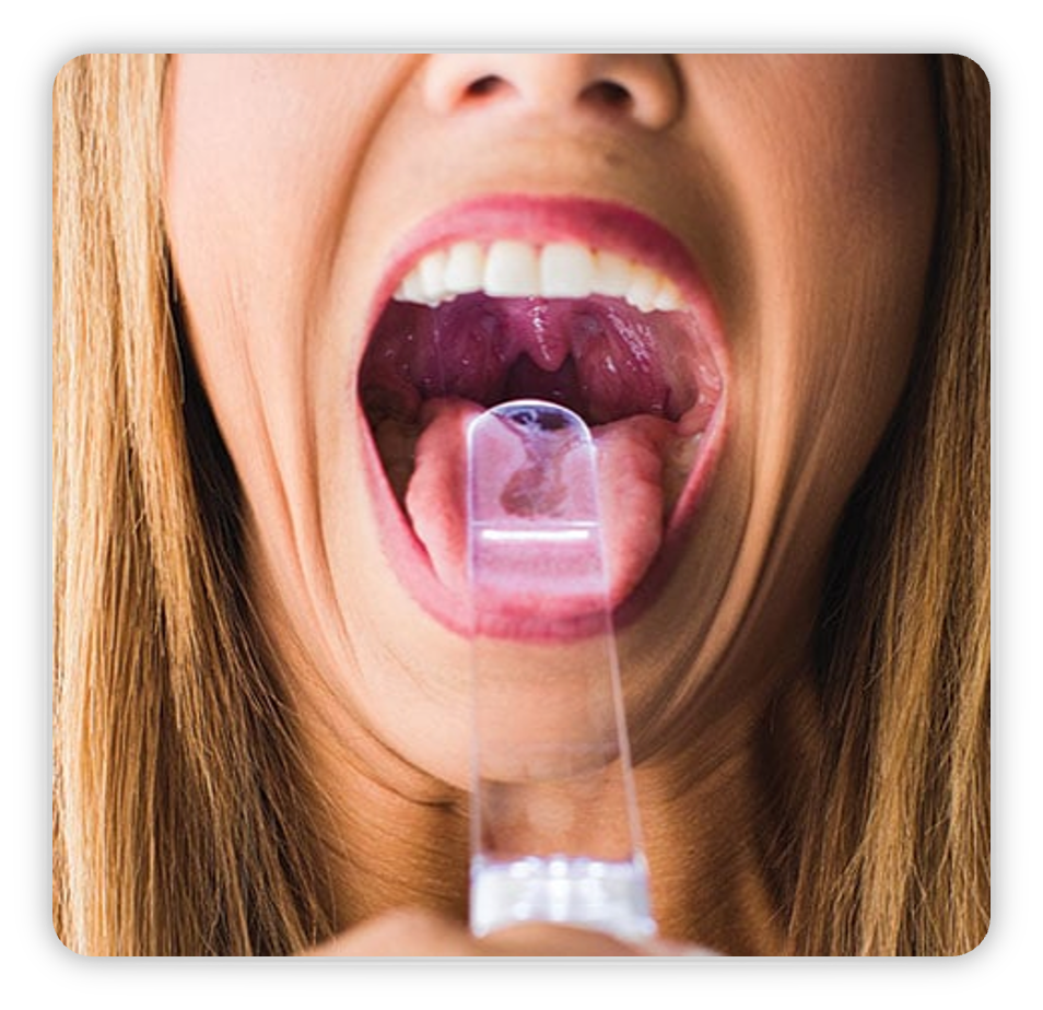 <p>Which structures should you see?</p>