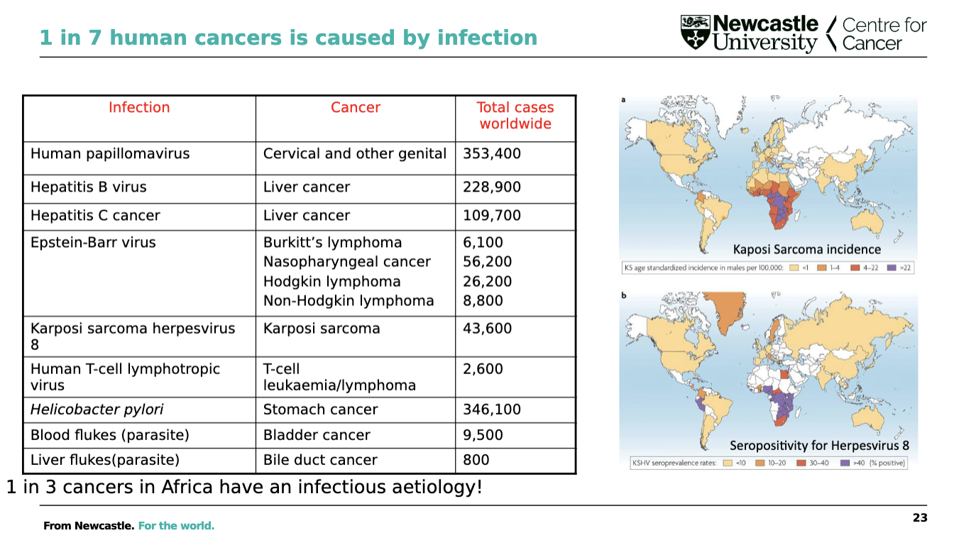 <p>infection</p>
