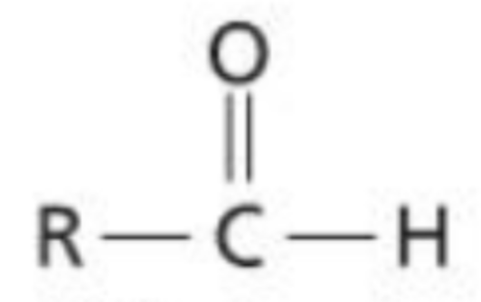 <p>An organic molecule with a carbonyl functional group that is placed on a terminal carbon, thus being bonded to one R group and one hydrogen</p>