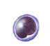 <ul><li><p>Type of WBC</p></li><li><p>Produce antibodies </p></li></ul><p></p>