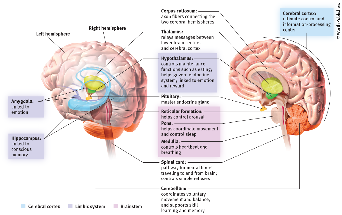 <p>Study this</p>