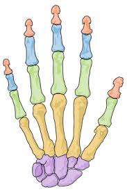 <p>Identify Green</p>