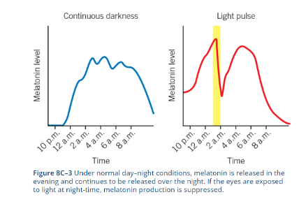 <p><span style="font-family: Aptos, sans-serif;">Daylight is the typical light an individual is exposed to during the day - The ability of the circadian system to resynchronise daily to keep in sync with the external environment is an evolutionary benefit. However, since the invention of artificial lighting, our light exposure is no longer just from the Sun during daylight hours, and this can be at the expense of our wellbeing.<strong> </strong></span><span>Blue light is a type of light that can be emitted both naturally and artificially -&nbsp; is a range of the visible light spectrum that is emitted from smartphone screens, computer monitors, televisions, LED and fluorescent light bulbs, as well as the Sun. </span></p>
