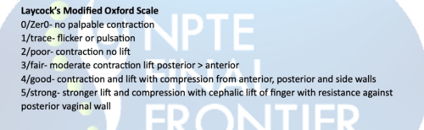 <p>a method of examination of the pelvic floor muscles that looks at</p><p>Power - Modified Oxford Scale</p><p>Endurance - How long can they hold a maximal voluntary contraction (up to 10sec)</p><p>Repetitions - How many maximal voluntary contractions they hold with a rest between them, up</p><p>to 10 reps (eg 10 repetitions of a 10-second hold)</p><p>Fast- The number of 1-second maximal voluntary contractions they can perform in a row (up to</p><p>10)</p><p>Every Contraction Timed - a reminder to time every contraction</p>