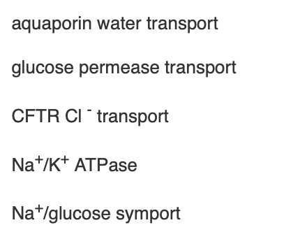 <p><span>Which of the following is an example of indirect active transport?</span></p>