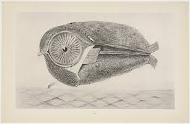 <p><strong>Max Ernst, L’evade, 1926</strong></p>