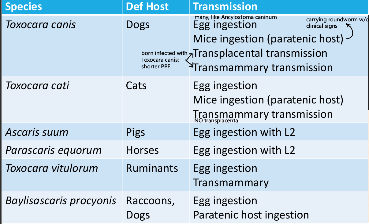 knowt flashcard image