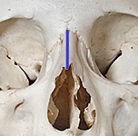 <p>identify the structure:</p>