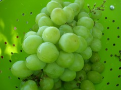 <p>4022</p>